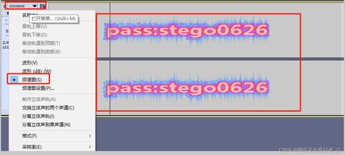 CTF 2023一帶一路金磚國家技能發(fā)展與技術(shù)創(chuàng)新大賽網(wǎng)絡(luò)安全在企業(yè)信息管理中的應(yīng)用賽項(xiàng)線下總決賽 Misc1 題解WP